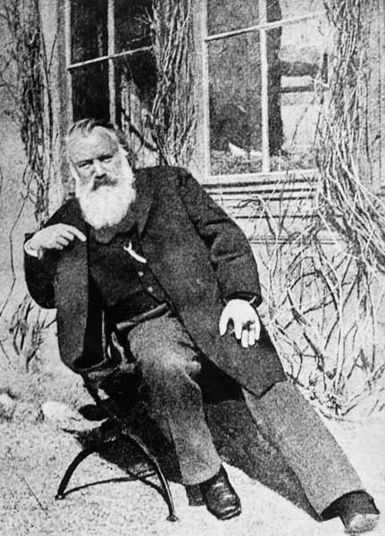 Johannes Brahms, c.1897 van Austrian Photographer