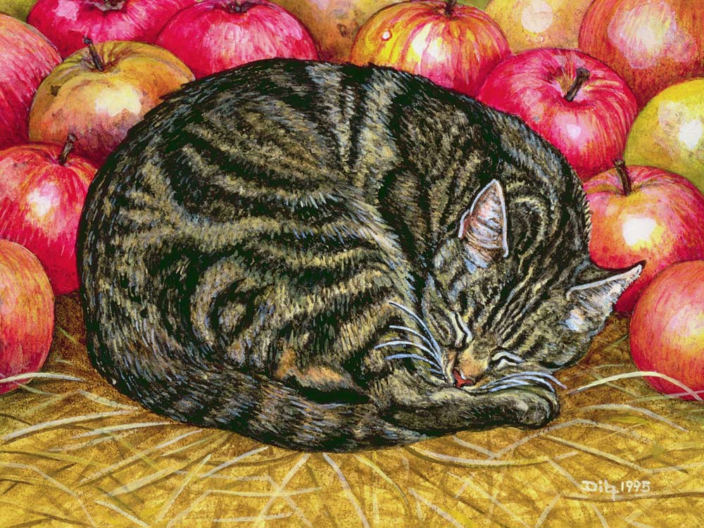 Left-Hand Apple-Cat, 1995 (acrylic on panel)  van Ditz 