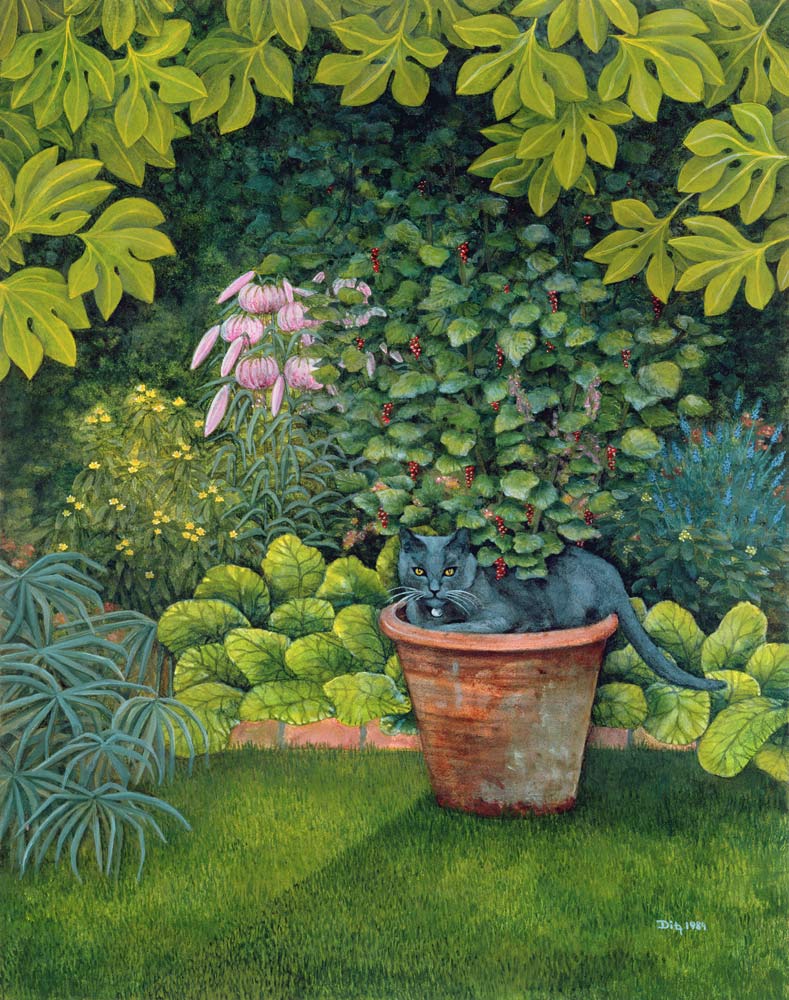 The Flower-Pot Cat van Ditz 