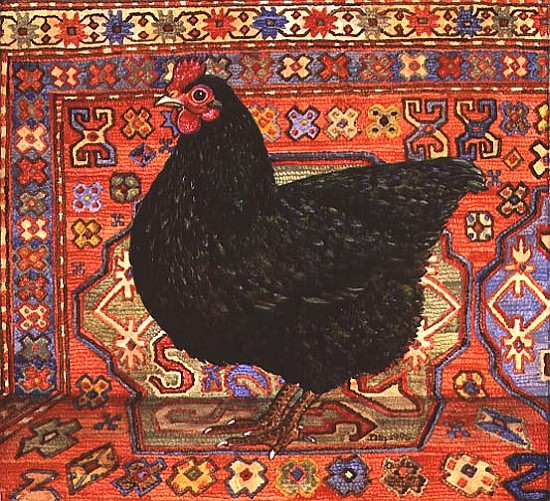 Black Carpet Chicken, 1995  van Ditz 