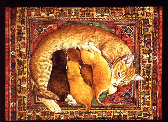 Carpet-Kittens  van Ditz 