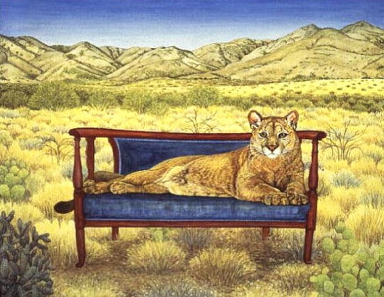 Millers'' Mountain-Lion  van Ditz 