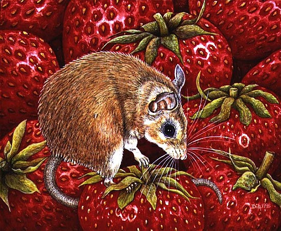 Strawberry-Mouse, 1995 (acrylic on panel)  van Ditz 