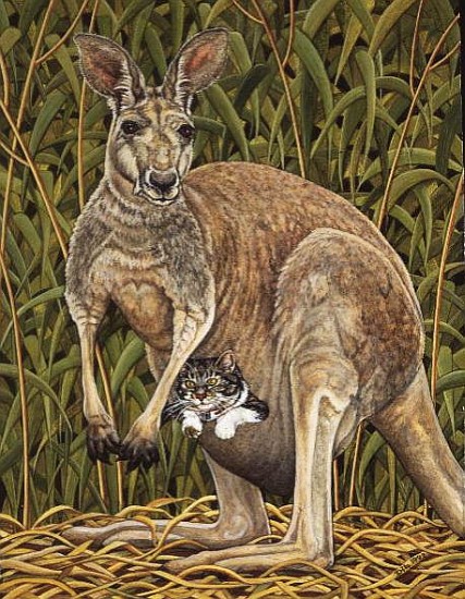 The Kangaroo-Cat  van Ditz 