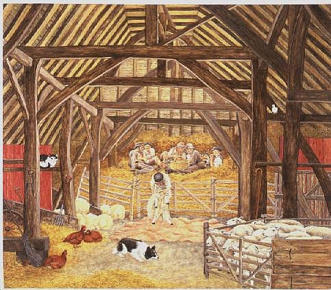 The Shearing Barn  van Ditz 