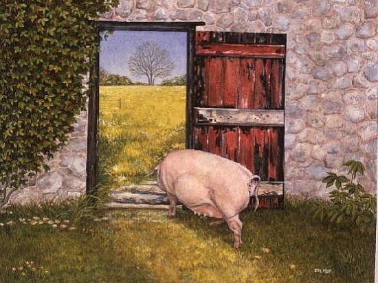 The Ware Farm Pig van Ditz 