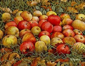 Durnitzhofer Apples, 1993