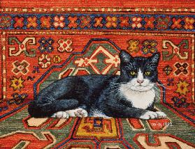 Second Carpet-Cat-Patch