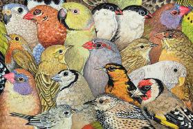 Patchwork-Birds, 1995 (acrylic on panel) 