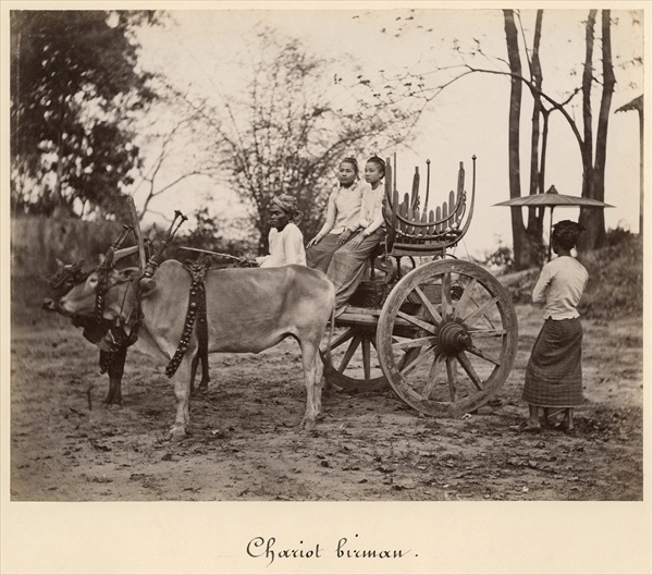 Cart pulled by two oxen at Mandalay, Burma, c.1885 (albumen print from a glass negative) (b/w photo) van English Photographer