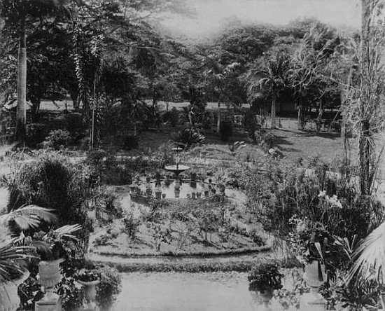 Garden of a Suburban Villa, Port of Spain, Trinidad van English Photographer