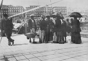 Algiers, late 19th century (b/w photo) 