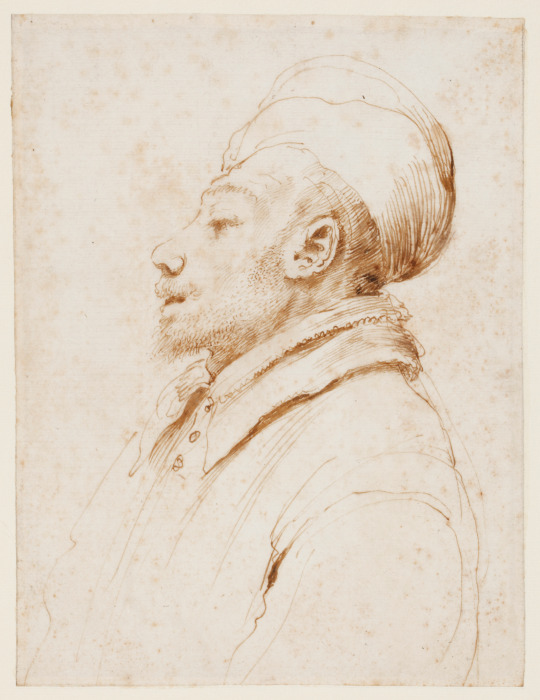 Karikatur eines Mannes im Profil nach links van Guercino (Giovanni Francesco Barbieri)