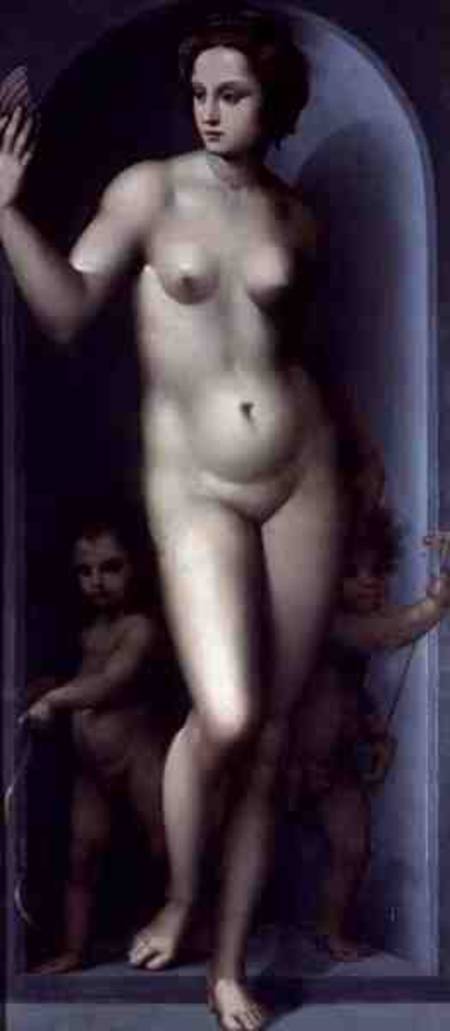 Venus Between Two Amores van A. Piccinelli