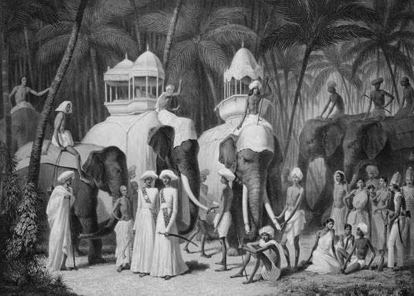Elephants of the Raja of Travandrum, from 'Voyage in India' engraved by Louis Henri de Rudder (1807- van A. Soltykoff