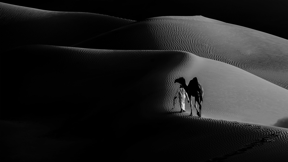 Silk Road van Abdulqader AlAni