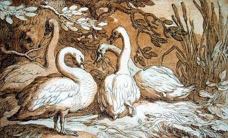 A Group of Swans van Abraham Bloemaert
