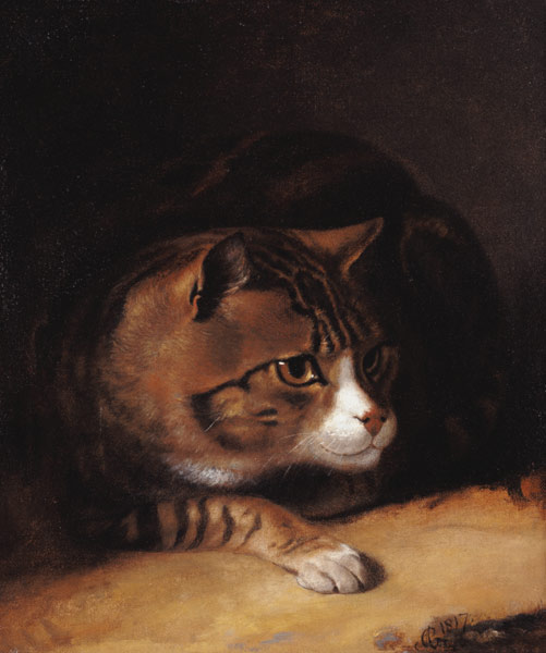 A Tabby Cat van Abraham Cooper