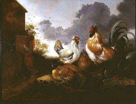Poultry in a farmyard van Abraham van Calraet