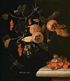 Stilleven van mispels, rode bessen, druiven en een libelle 
