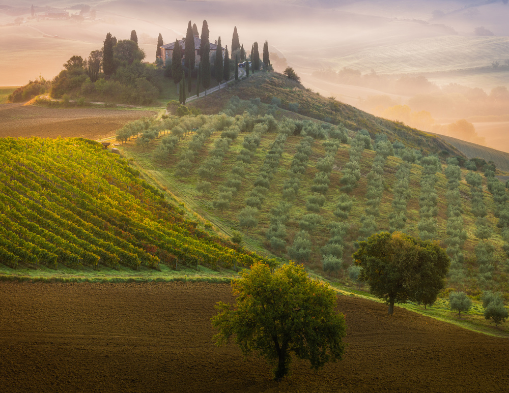 Tuscany van Adrian Popan