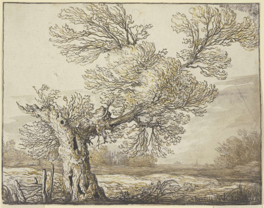 Landscape near Dordrecht van Albert Cuyp