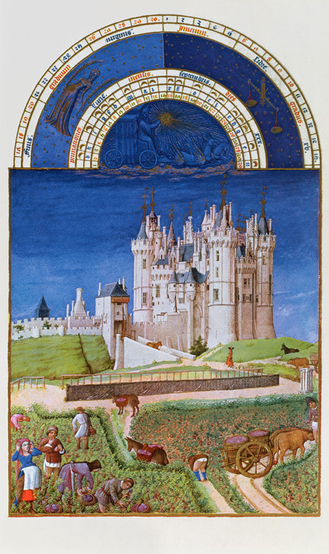 Fascimile of September: harvesting grapes the Limbourg brothers, from the ''Tres Riches Heures du Du van (after) French School