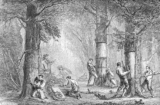 Bark (Gathering the Bark of the Cork Tree) ; engraved by Charles Laplante (d.1903) van (after) A. Faguet