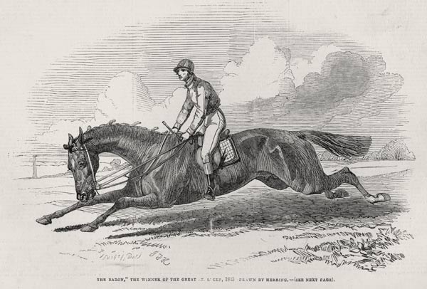 ''The Baron'', the winner of the Great St. Leger, from ''The Illustrated London News'', 27th Septemb van (after) John Frederick Herring Snr