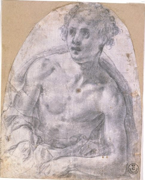 A.Bronzino /Study for St.Sebastian/Draw. van Agnolo Bronzino