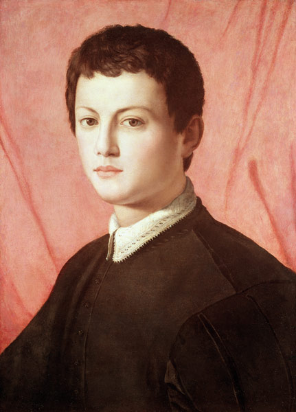 Portrait of a young man (panel) van Agnolo Bronzino