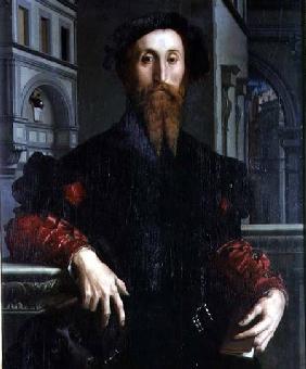 Portrait of Signor Panciatichi Bartolomeo