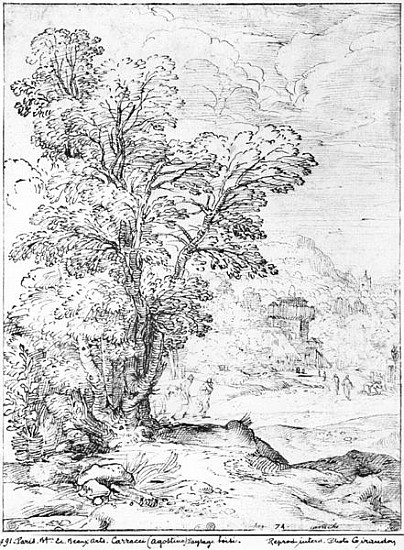 Wooded landscape van Agostino Carracci