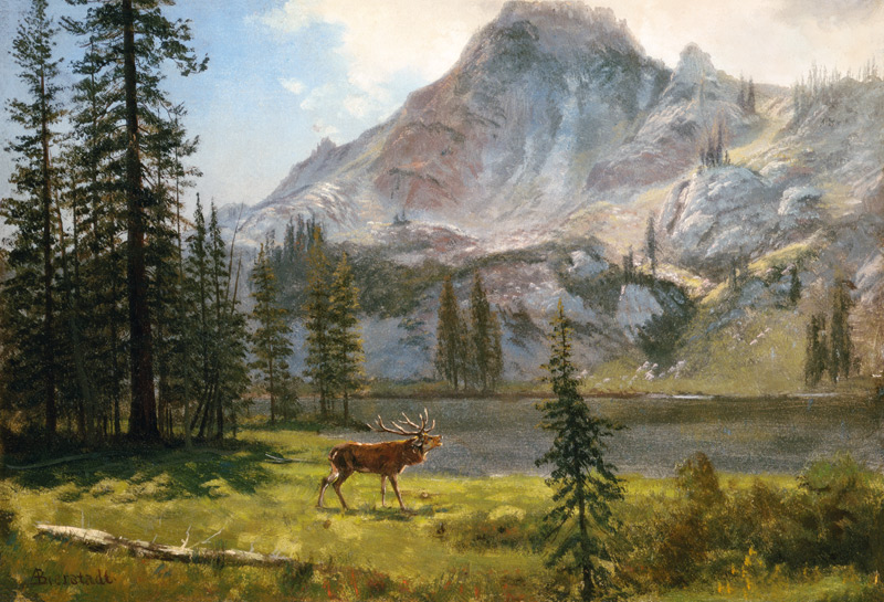 Call of the Wild van Albert Bierstadt