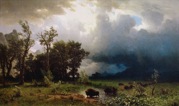 Der drohende Sturm. Der letzte Bueffel. van Albert Bierstadt