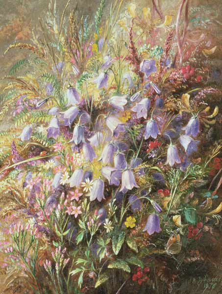 Harebells & other Woodland Flowers & Grasses van Albert Durer Lucas