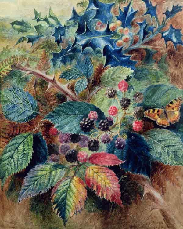 Blackberries and Holly with a Butterfly van Albert Durer Lucas