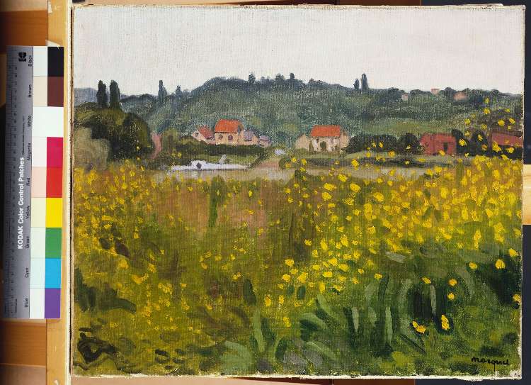 Gelbe Blumenwiese in Villenes (Les Fleurs Jaunes a Villenes) van Albert Marquet