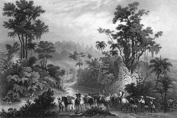 Jagd im Urwalde in Brasilien van Albert Henry Payne
