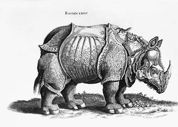 Rhinoceros, no.76 from ''Historia Animalium'' Conrad Gesner (1516-65) published in July 1815 van Albrecht Dürer