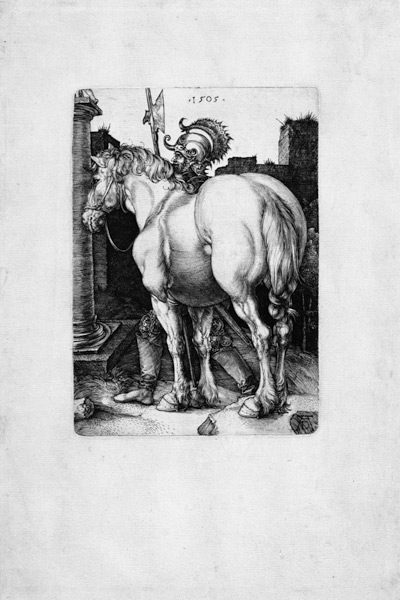 Das große Pferd van Albrecht Dürer