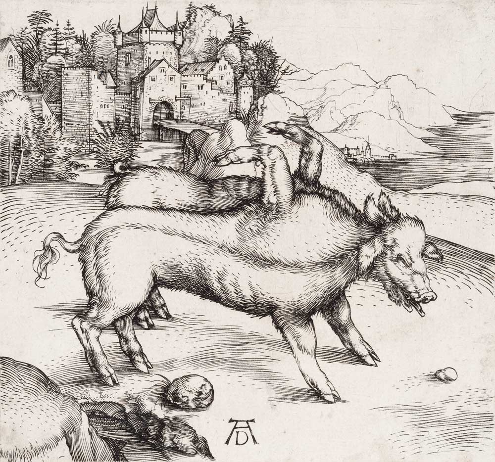Die Missgeburt eines Schweins (Die wunderbare Sau von Landser) van Albrecht Dürer