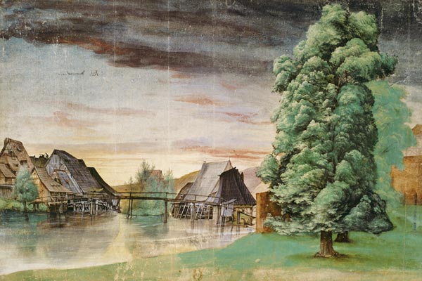 Die Weidenmühle van Albrecht Dürer