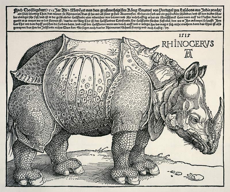 Nashorn van Albrecht Dürer