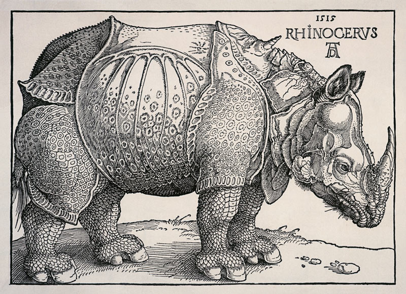 Nashorn - Variation ohne Text van Albrecht Dürer