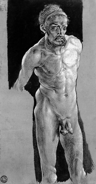 Albrecht Dürer / Nude Self-Portrait /C16 van Albrecht Dürer