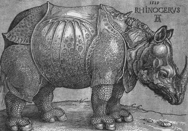 Nashorn van Albrecht Dürer