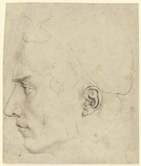 Male head in profile van Albrecht Dürer
