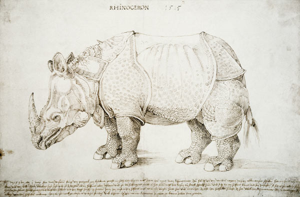 Rhinoceros van Albrecht Dürer