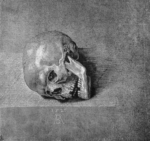 A.Dürer, Skull / Draw./ 1521 van Albrecht Dürer